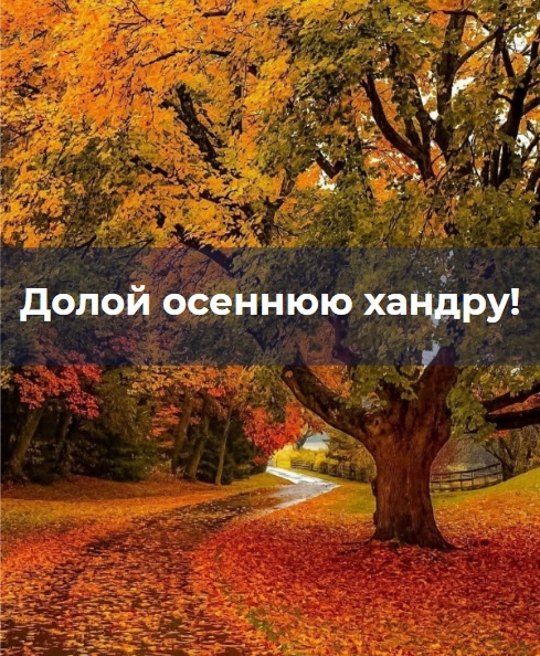 Долой осеннюю хандру! Долой осеннюю хандру!