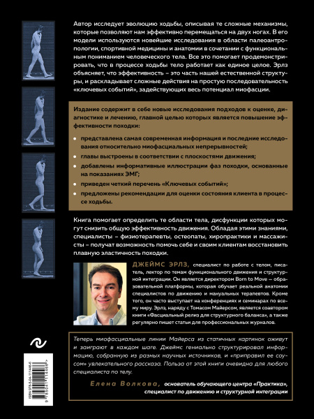 Рожденный ходить. Миофасциальная эффективность: революция в понимании механики движения