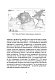 Этот неизвестный океан: как работают приливы, рождаются шторма и живут невидимые создания в морских глубинах